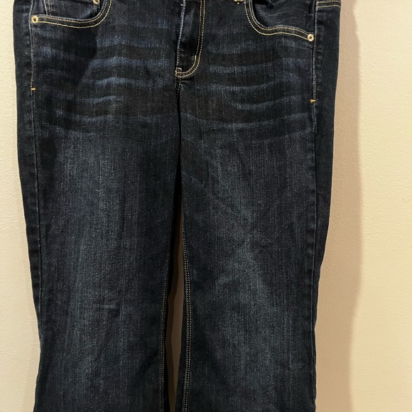 American Eagle Outfitters Denim - AEO Artist Crop Capri